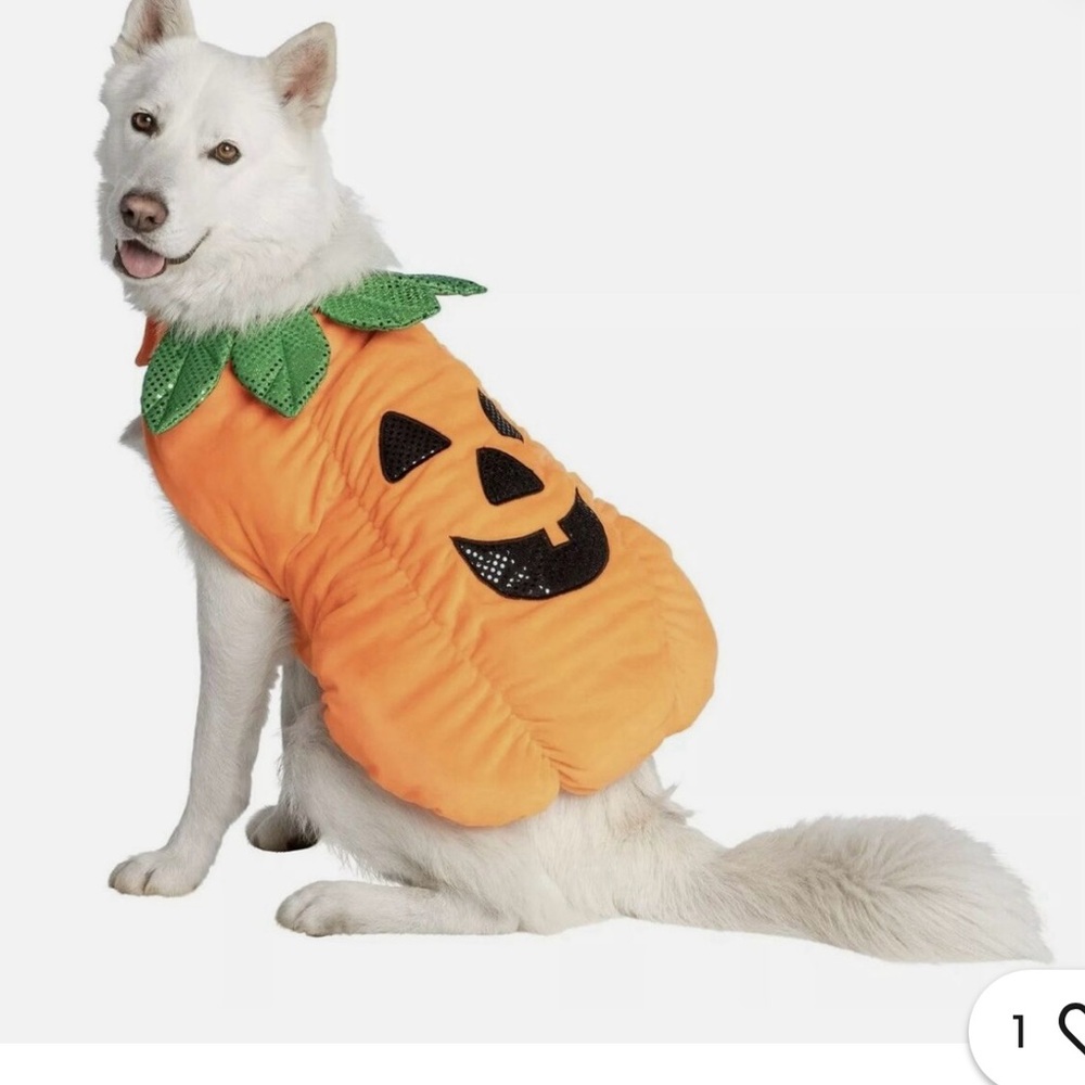 Pumpkin costume for large dog